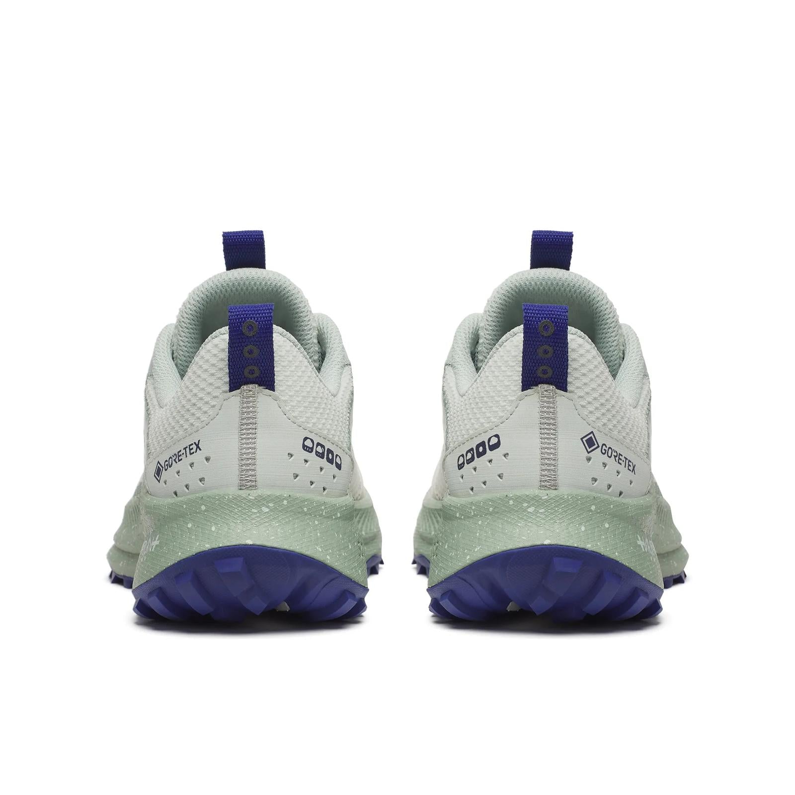 Ride TR2 GTX Waterproof Shoe