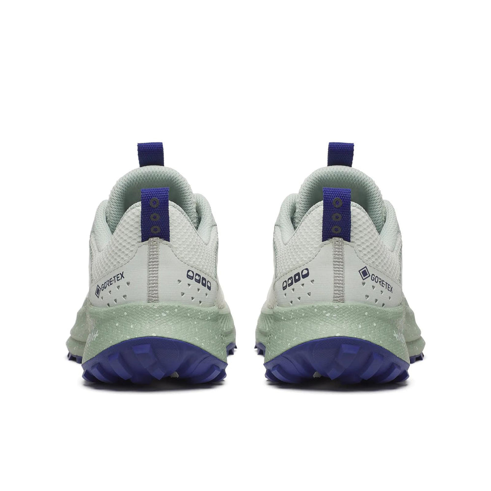 Ride TR2 GTX Waterproof Shoe